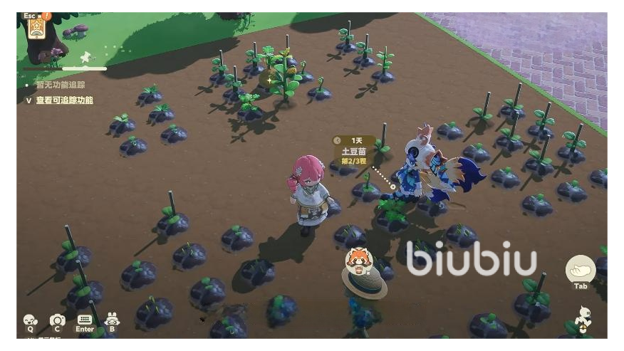 星布谷地好玩吗