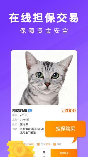 宠物市场苹果版截图3