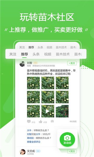 苗木通ios版截图2