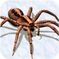 Arachnophobia无广告版v0.1.100
