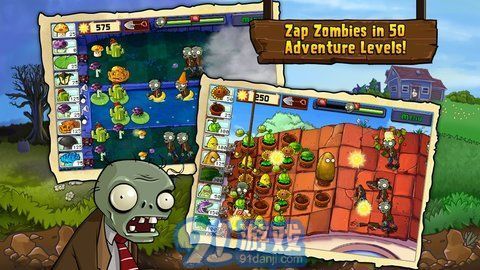 金珂拉植物大战僵尸本v6.4截图1