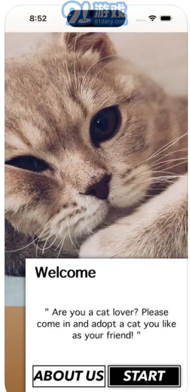 爱猫物语宠物店中文v3.43.24截图1