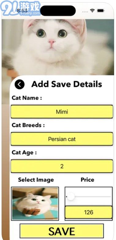 爱猫物语宠物店中文v3.43.24截图3