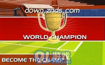 3D网球大赛 TV版v1.7截图2