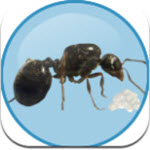 Antkeeper蚂蚁模拟v1.7