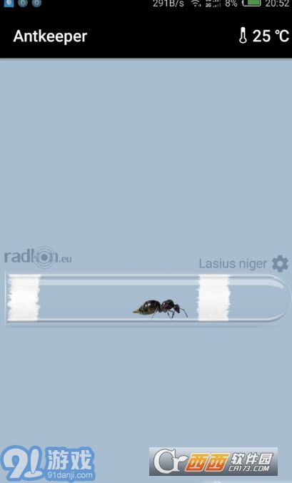 Antkeeper蚂蚁模拟v1.7截图4