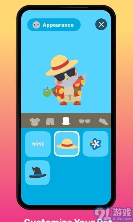Finch桌面萌宠v2.9.10截图1