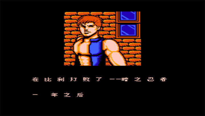 双截龙3v1.2.4截图2