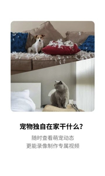 腾讯慧看家vV0.2.7截图2