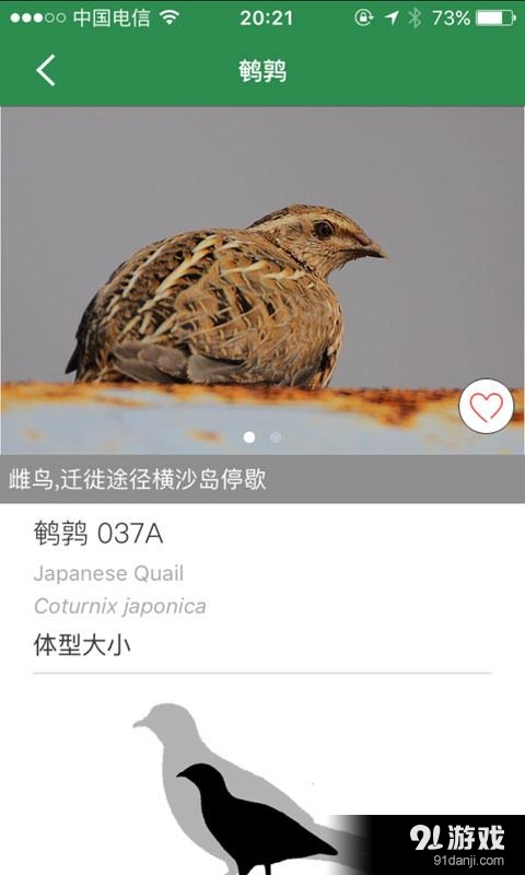 上海野鸟v1.3.7截图2