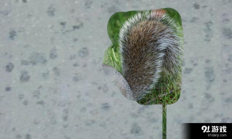 Animals Zoo for Toddlersv1.3.13截图4