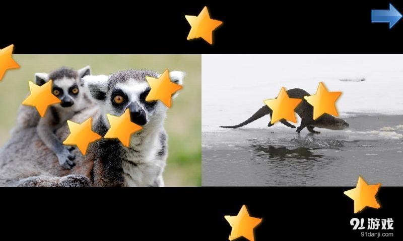 Animals Zoo for Toddlersv1.3.13截图5