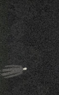 微弱的呼叫v1.9截图1