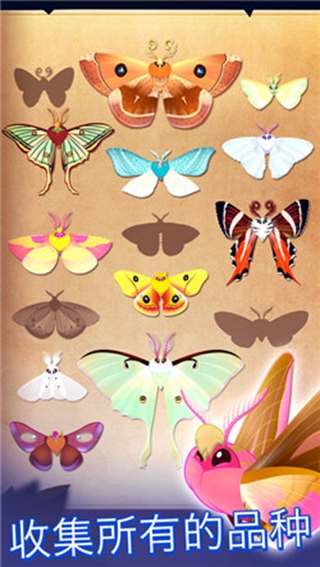 彩翼之星夜v2.40截图3