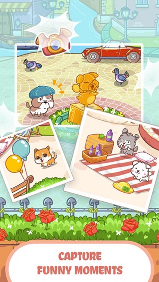 花式狗v1.9截图2