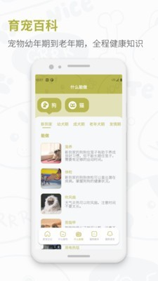 爱宠日记v1.3.4截图4