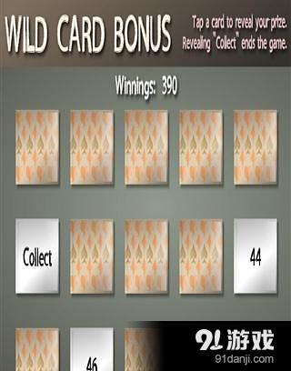 Hot Hand Poker Litev1.4.4截图5