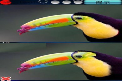 神速找茬儿v1.6截图3