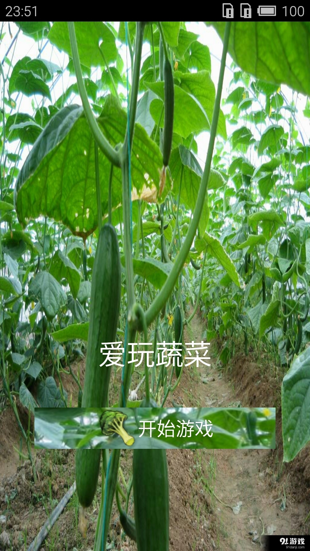 爱玩蔬菜v1.8截图1