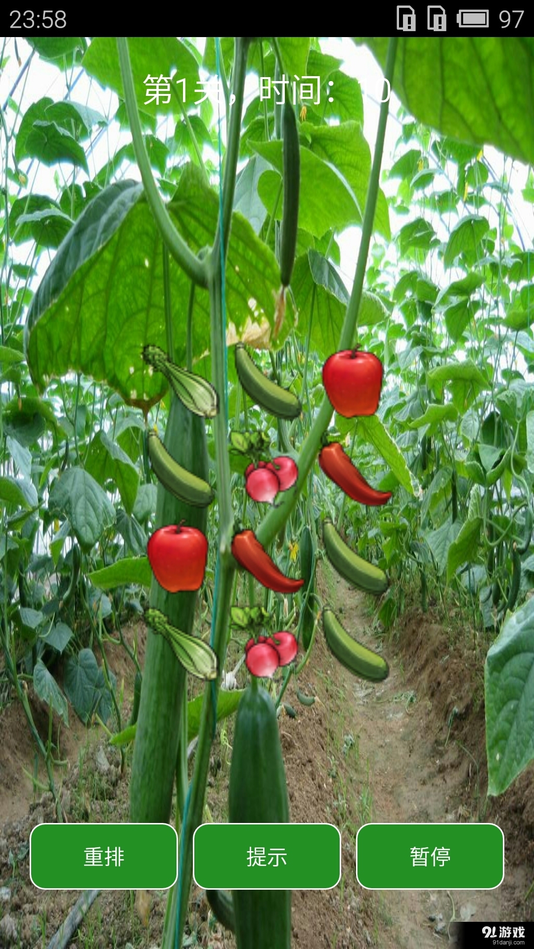 爱玩蔬菜v1.8截图2