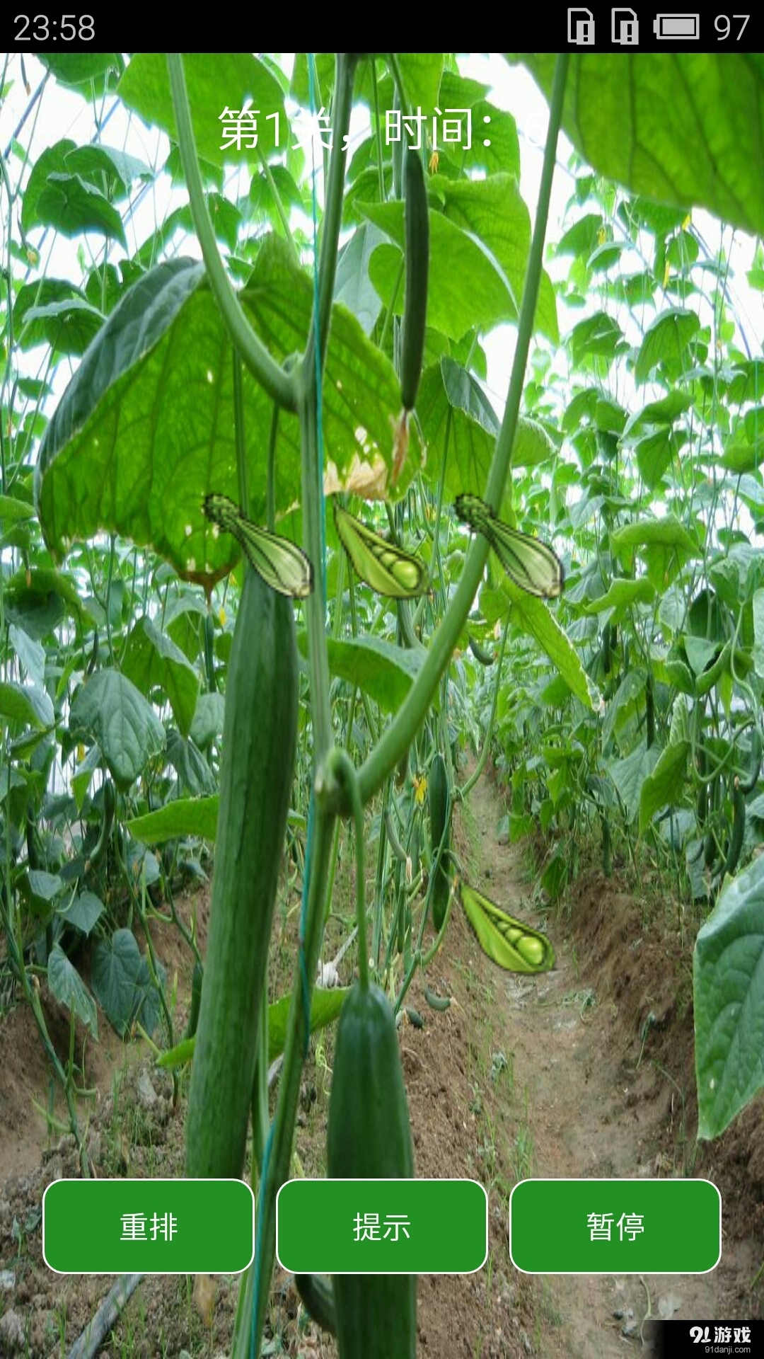 爱玩蔬菜v1.8截图3