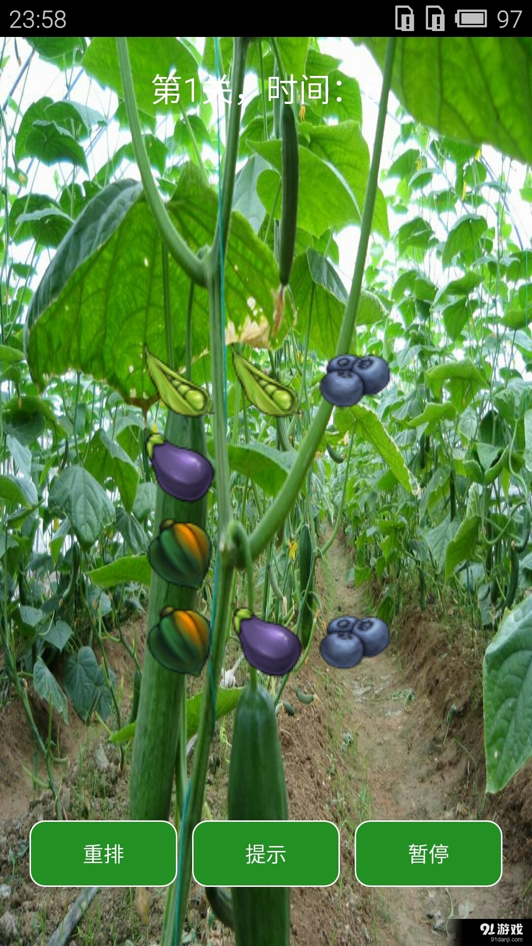 爱玩蔬菜v1.8截图4