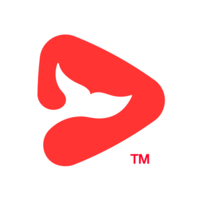 一起学网校pc端(改名为锦书在线)