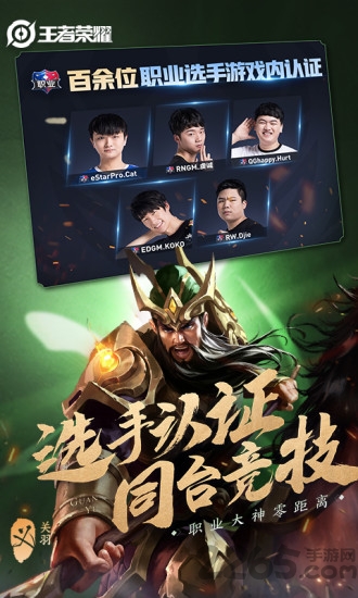 王者荣耀电脑版截图3