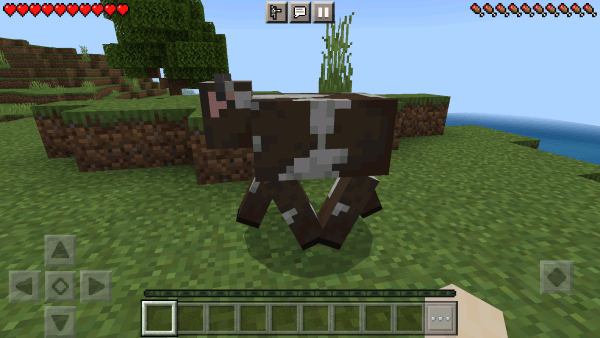 我的世界基岩版PC端截图4