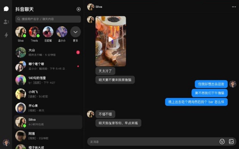 抖音聊天软件电脑版截图2