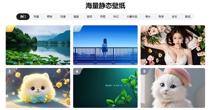 360壁纸电脑版截图2