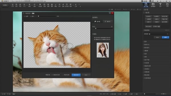 光影魔术手xp系统版安装包截图4