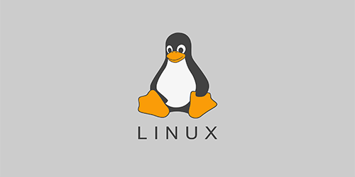 有道词典linux版本截图5