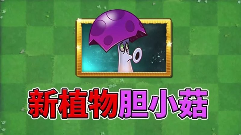 植物大战僵尸胆小菇之梦电脑版截图1