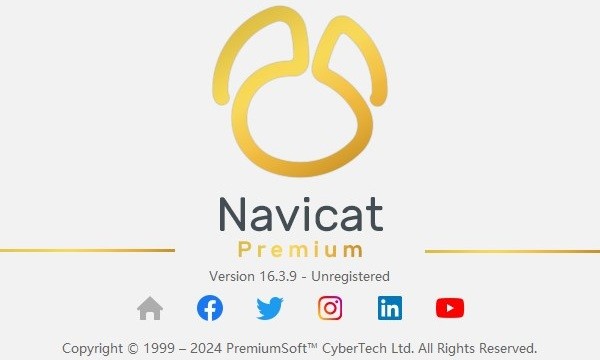 navicat premium 16破解版电脑版截图1
