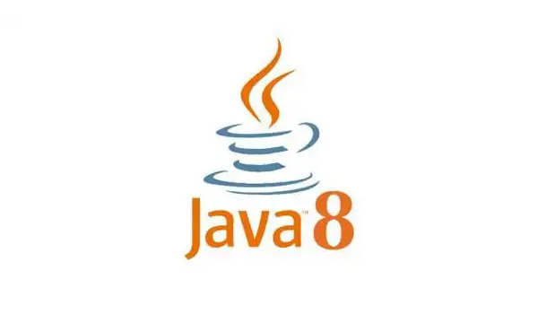 java 8电脑版截图2
