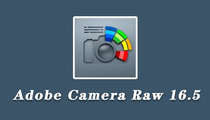 adobe camera raw 17.4电脑版截图1