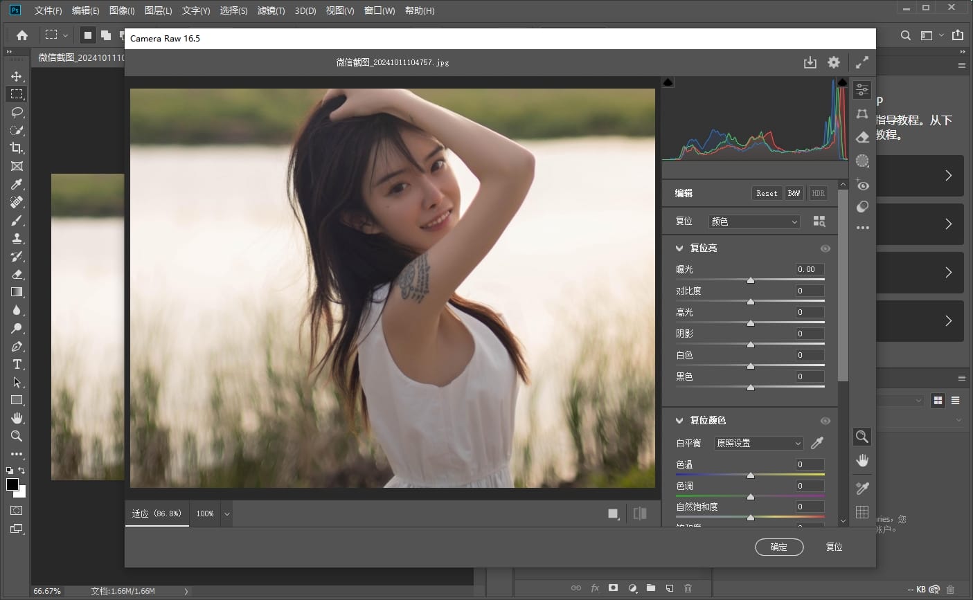 adobe camera raw 17.4电脑版截图4