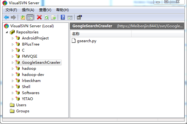 visualsvn server电脑版截图3