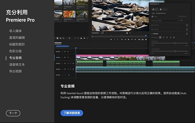 adobe premiere pro 2024软件无需激活永久免费截图3