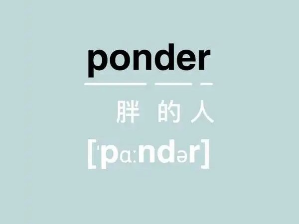 轻轻松松背单词电脑版截图3