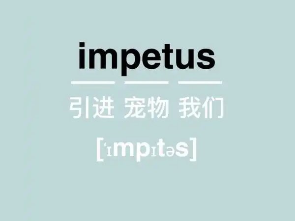 轻轻松松背单词电脑版截图4