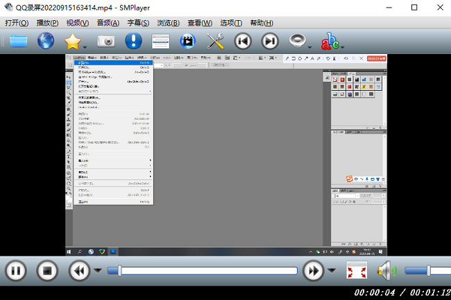 smplayer中文版免费版截图2