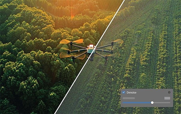 adobe lightroom classic 2025电脑版截图3