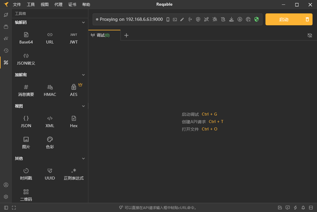reqable电脑版截图1
