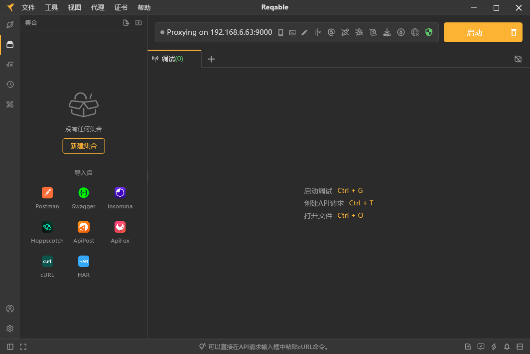 reqable电脑版截图2