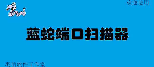 蓝蛇端口扫描器工具截图1