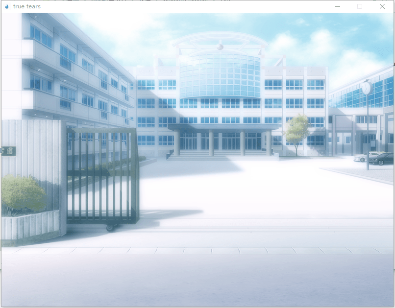 真实之泪游戏(true tears)截图2