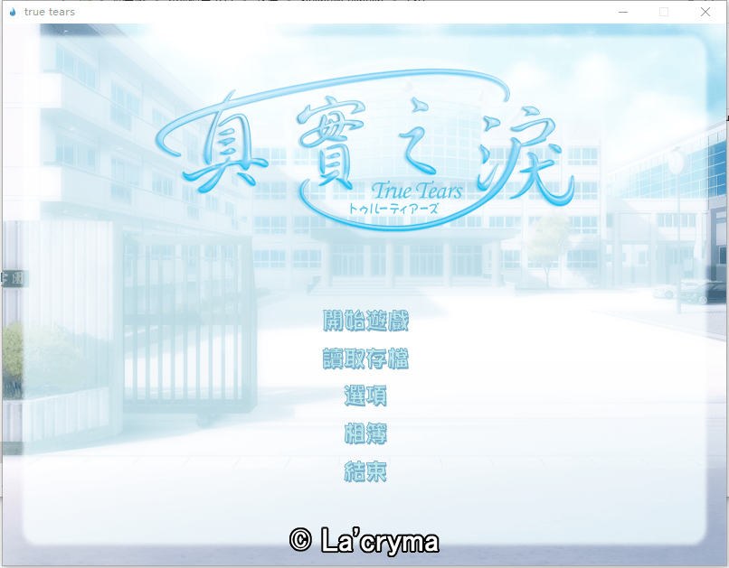 真实之泪游戏(true tears)截图3