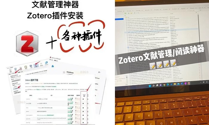 zotero电脑版截图4